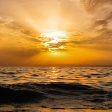 Aging and Death: Meeting the inevitable with Honesty and Heart